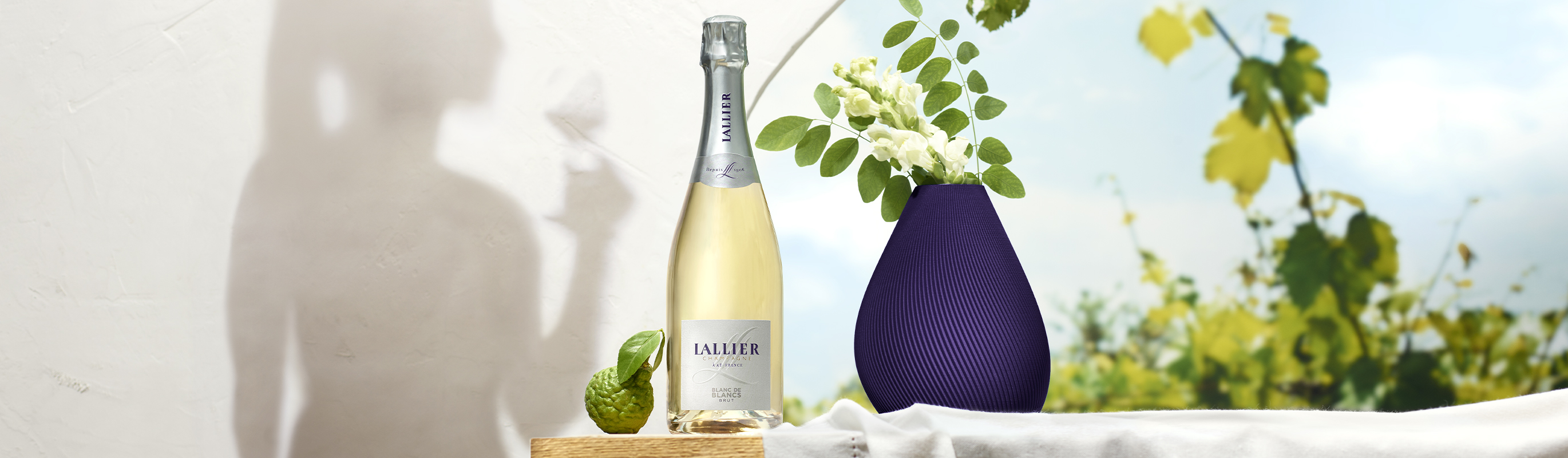 Lallier_Category%20banner_2740x800