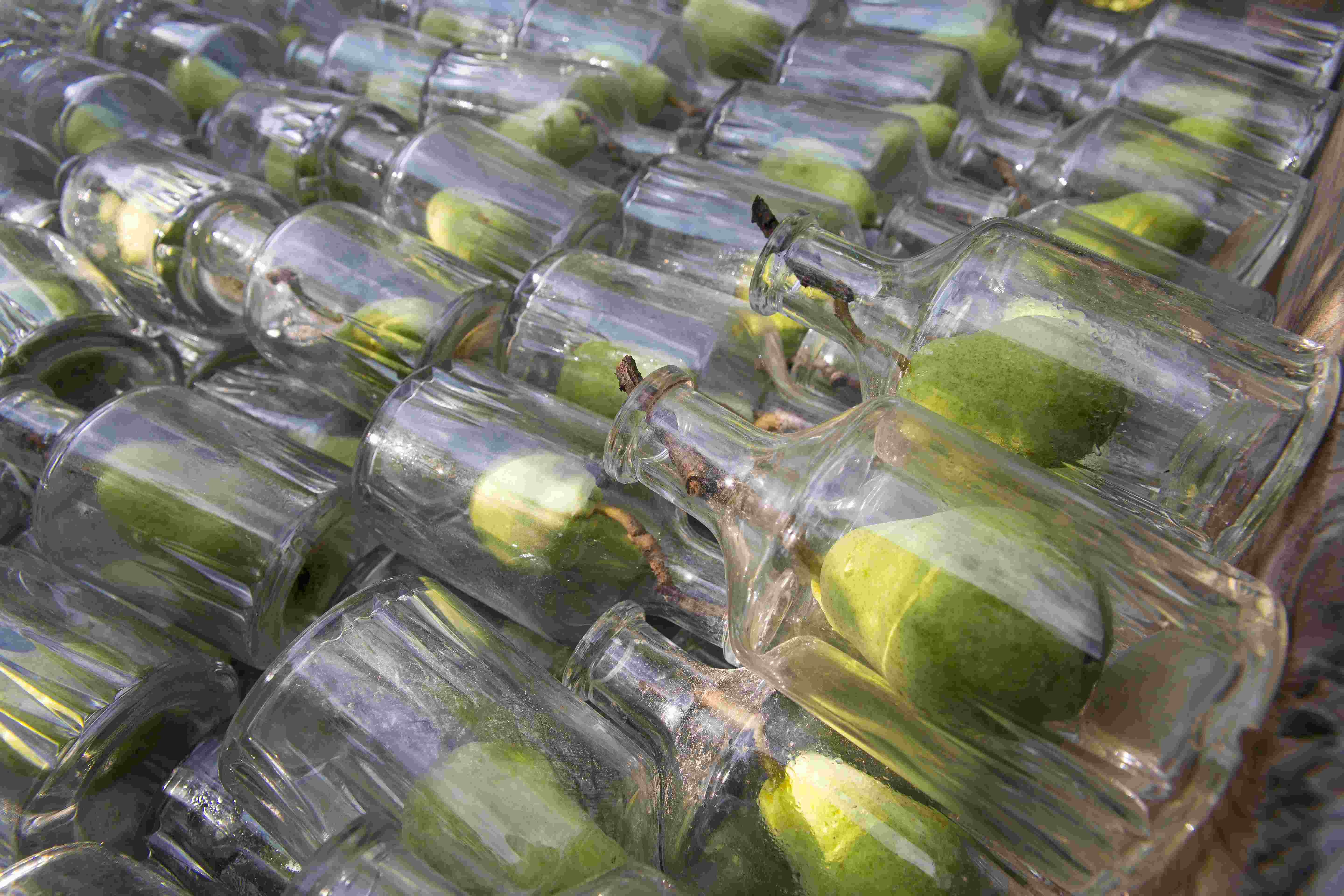 Glas-Birnen